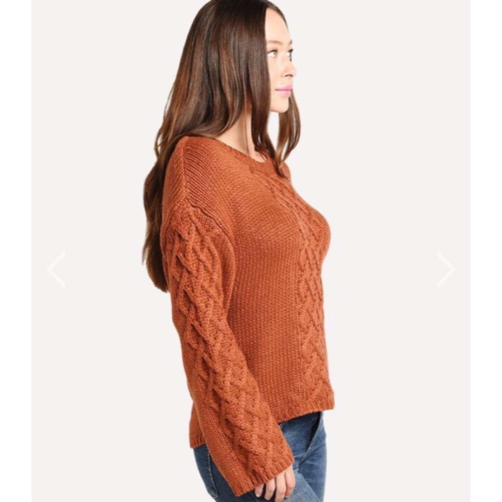 NWT BB DAKOTA Retro Active Cable Knit Sweater Rust - Picture 3 of 15
